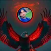 kaseer804