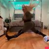 zeenoorxxx