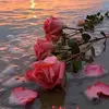 nawe.fleur