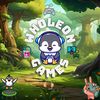 wholeon247