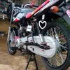 nabelgubar