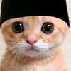 hamba_allah24443
