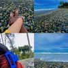 mbakk_riaa