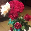 fatima_36o