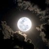 moon016069