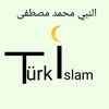 turk_islam06