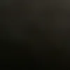 august_dortmund