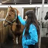 dimilovescats