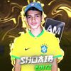 its_showib_