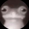 pqqsi