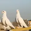 1acie_pji