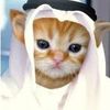 sheikh_meow0
