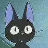 dorrie.dorrie