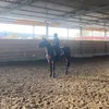 jqzmin124