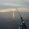 nikoskritikos16