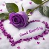 rohini5351
