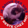 user2133893262