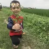 lan.bnh8