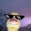 luu_uxx1