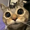 xx_teuszx