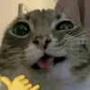 hhuan.000