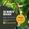 sibibitbuah