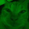 alien_cat011