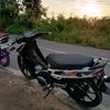 iifn1121_