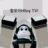 hlloy.tv