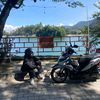 domas_k44