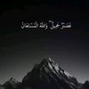 abo.ali22371