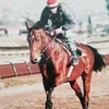 jean.pierre.bendj6