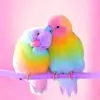 user460042032280