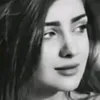 user9051309197778