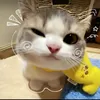 thankvann.11