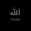 muslimss1