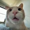 huhihuhihihh