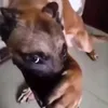 kiyntintinanto