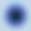 blueistflower