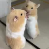 luutran2993