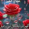 user78448435344
