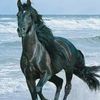 mansour.abdellah5