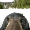 tittr2