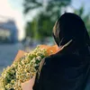 sedrashikoh6
