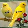 user2287200472355