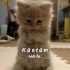 kardelen.kolcu