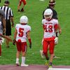 stokley_dog