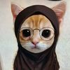 noor443424
