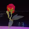 totatota200148