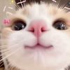 roseflowerroblox